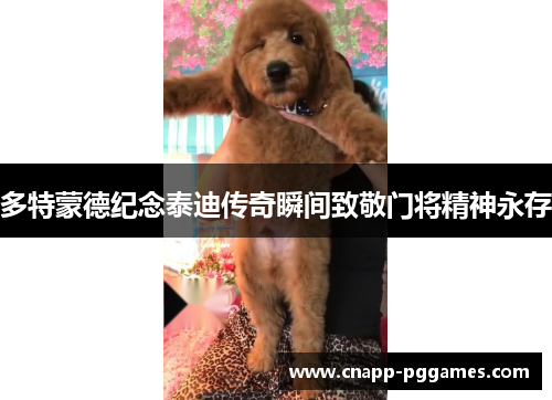 多特蒙德纪念泰迪传奇瞬间致敬门将精神永存 多特蒙德纪念泰迪传奇瞬间致敬门将精神永存