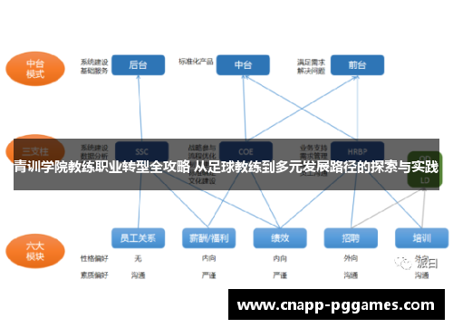 青训学院教练职业转型全攻略 从足球教练到多元发展路径的探索与实践