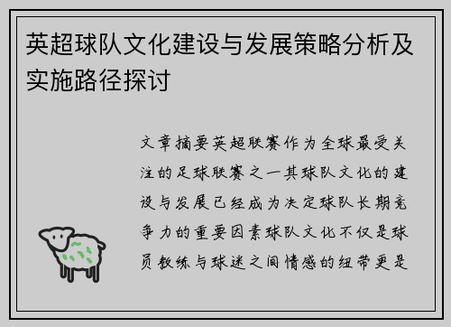 英超球队文化建设与发展策略分析及实施路径探讨