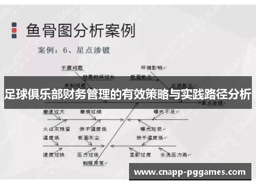 足球俱乐部财务管理的有效策略与实践路径分析